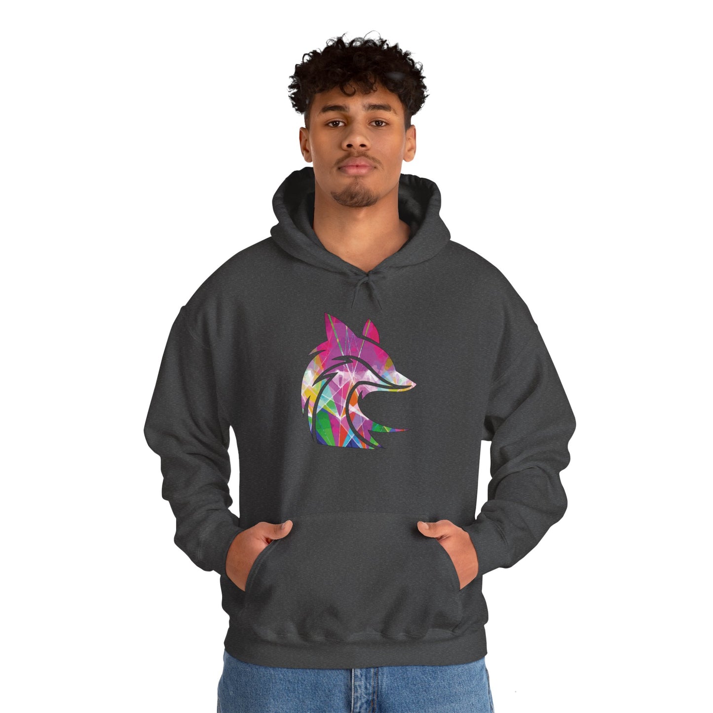 The Fox D3n Rainbow Lasers Hoodie