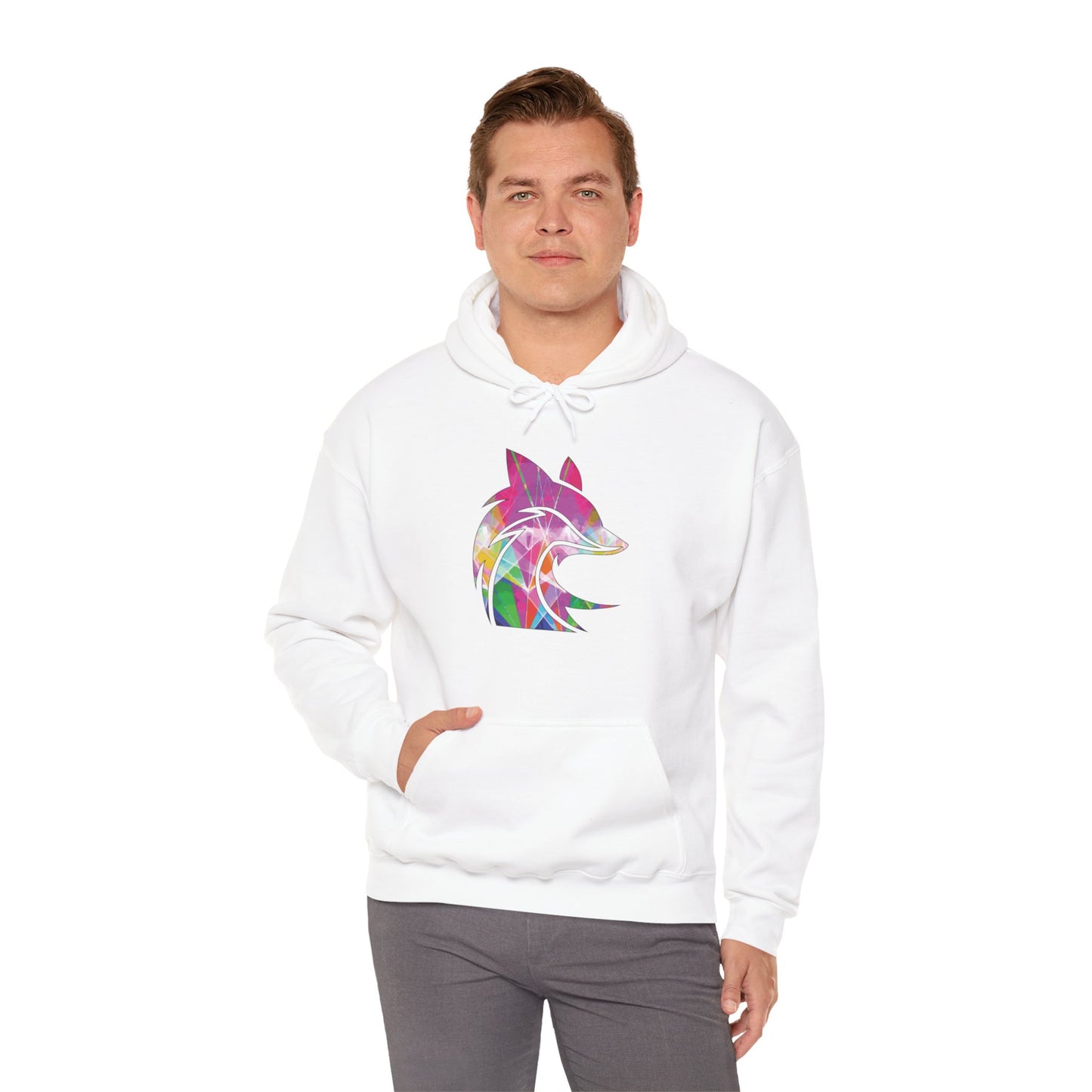 The Fox D3n Rainbow Lasers Hoodie