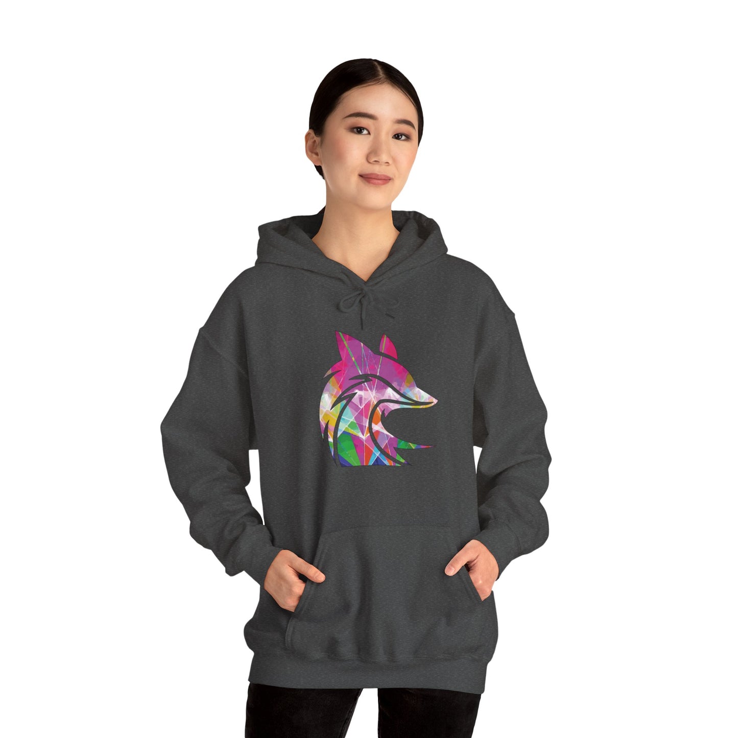 The Fox D3n Rainbow Lasers Hoodie
