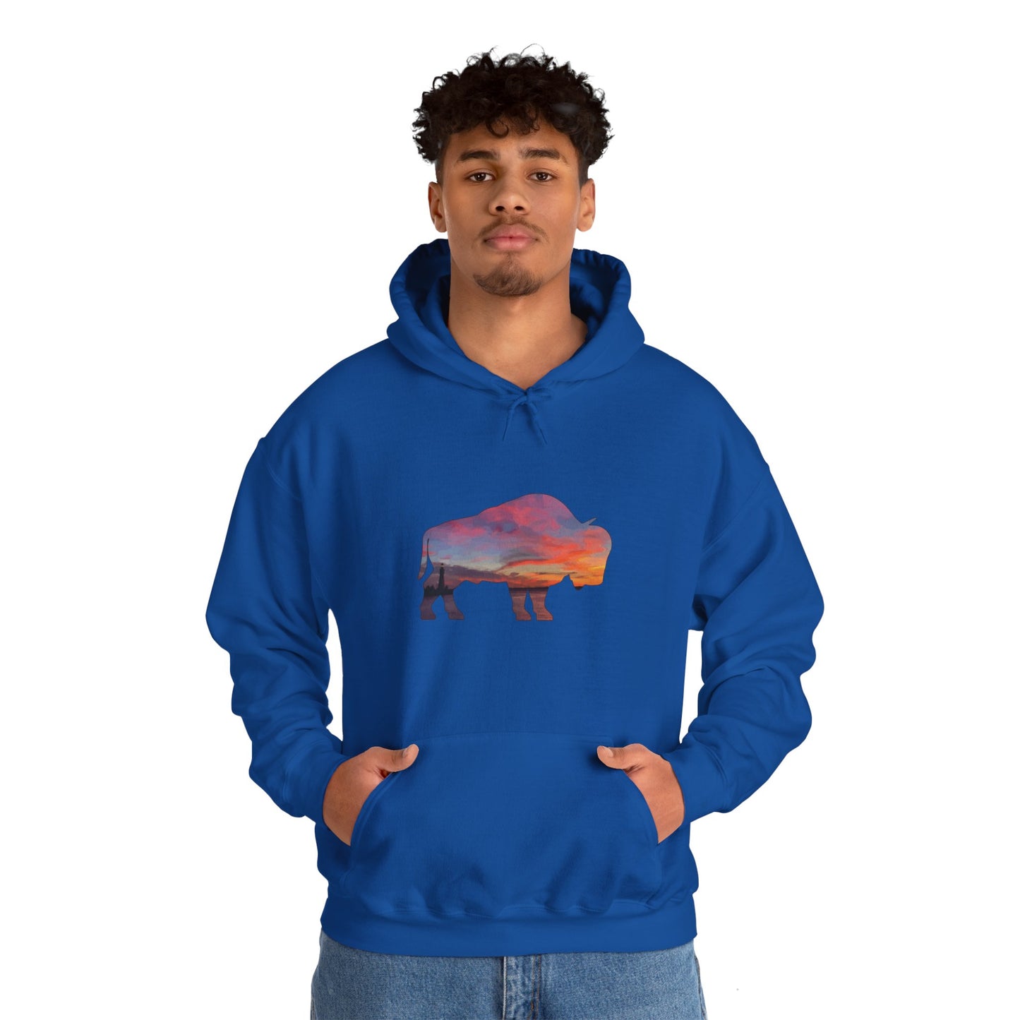 Buffalo Waterfront Sunset Hoodie