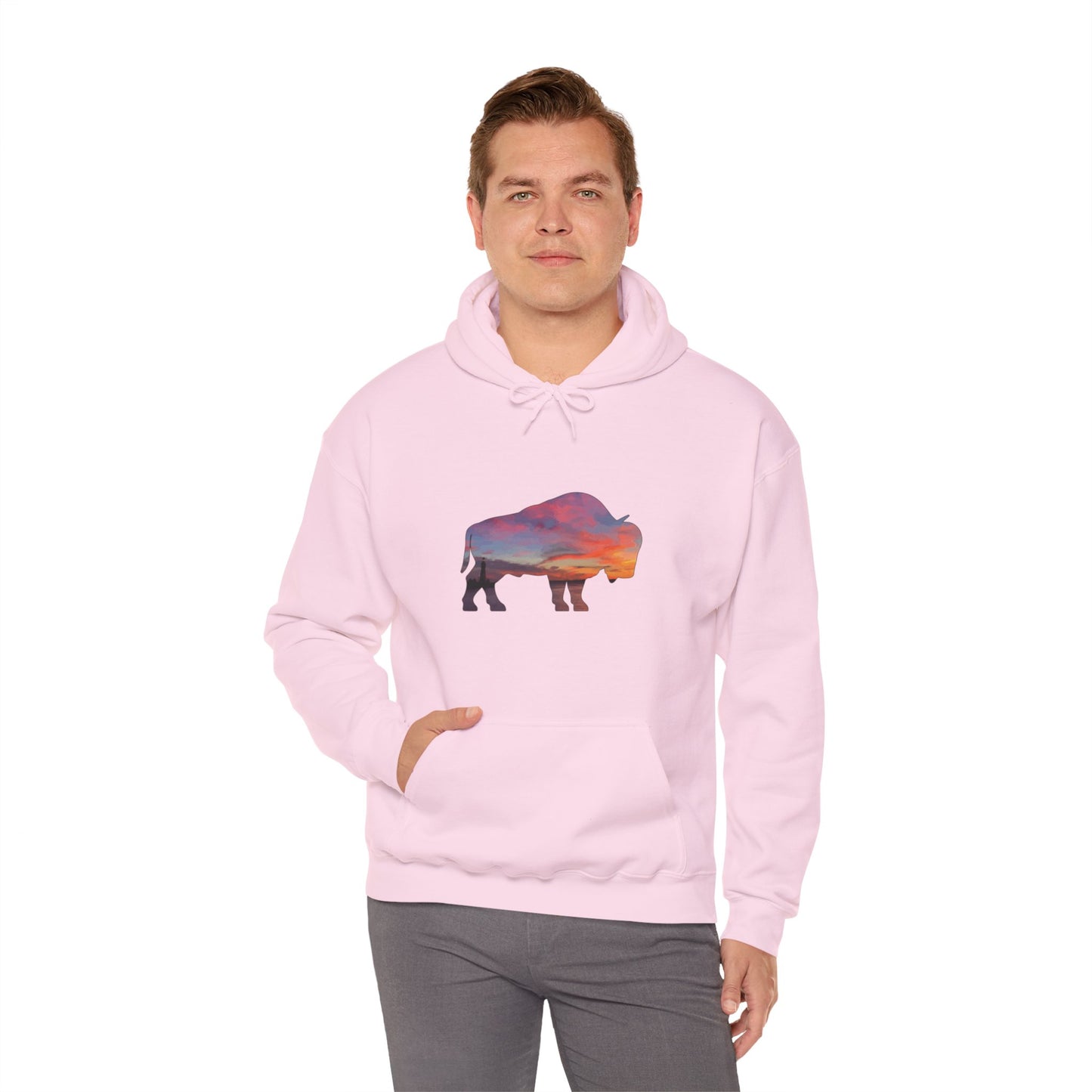 Buffalo Waterfront Sunset Hoodie