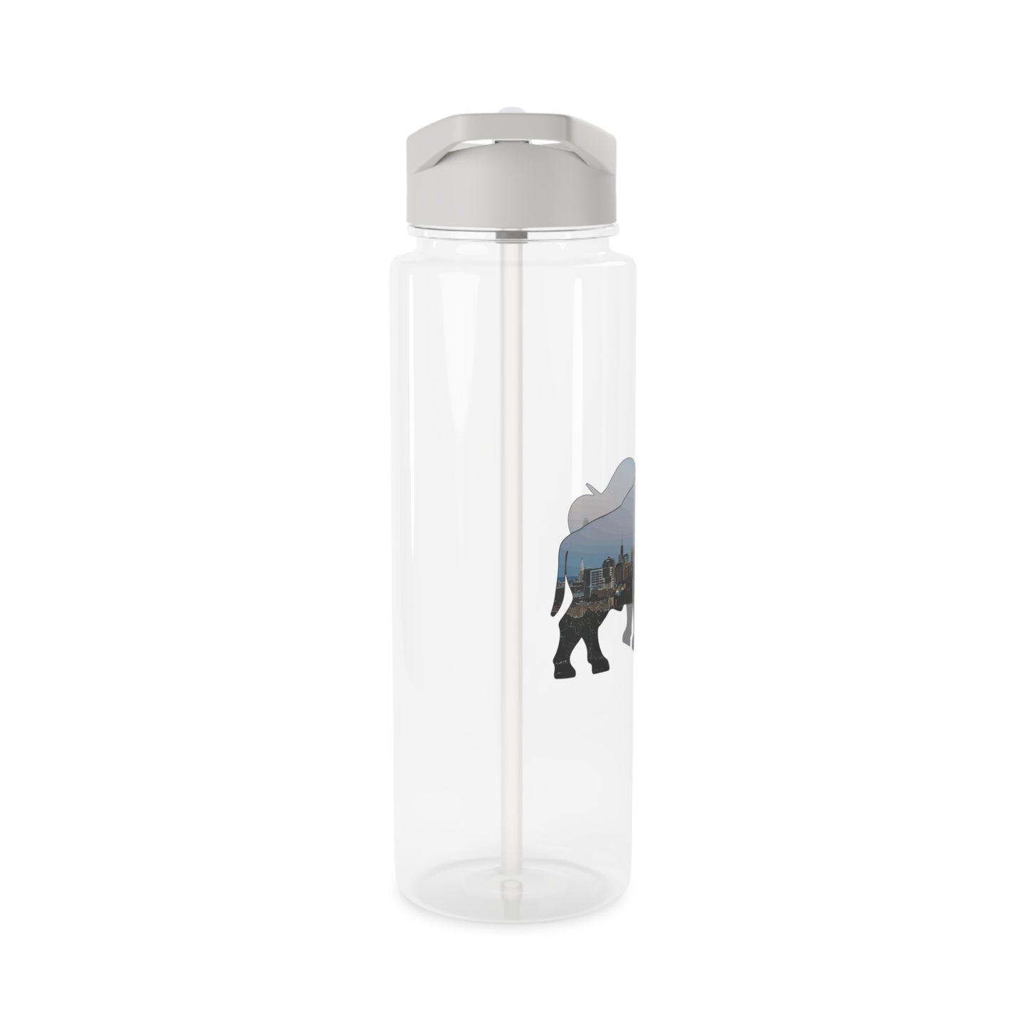 The Buffalo Skyline Water Bottle