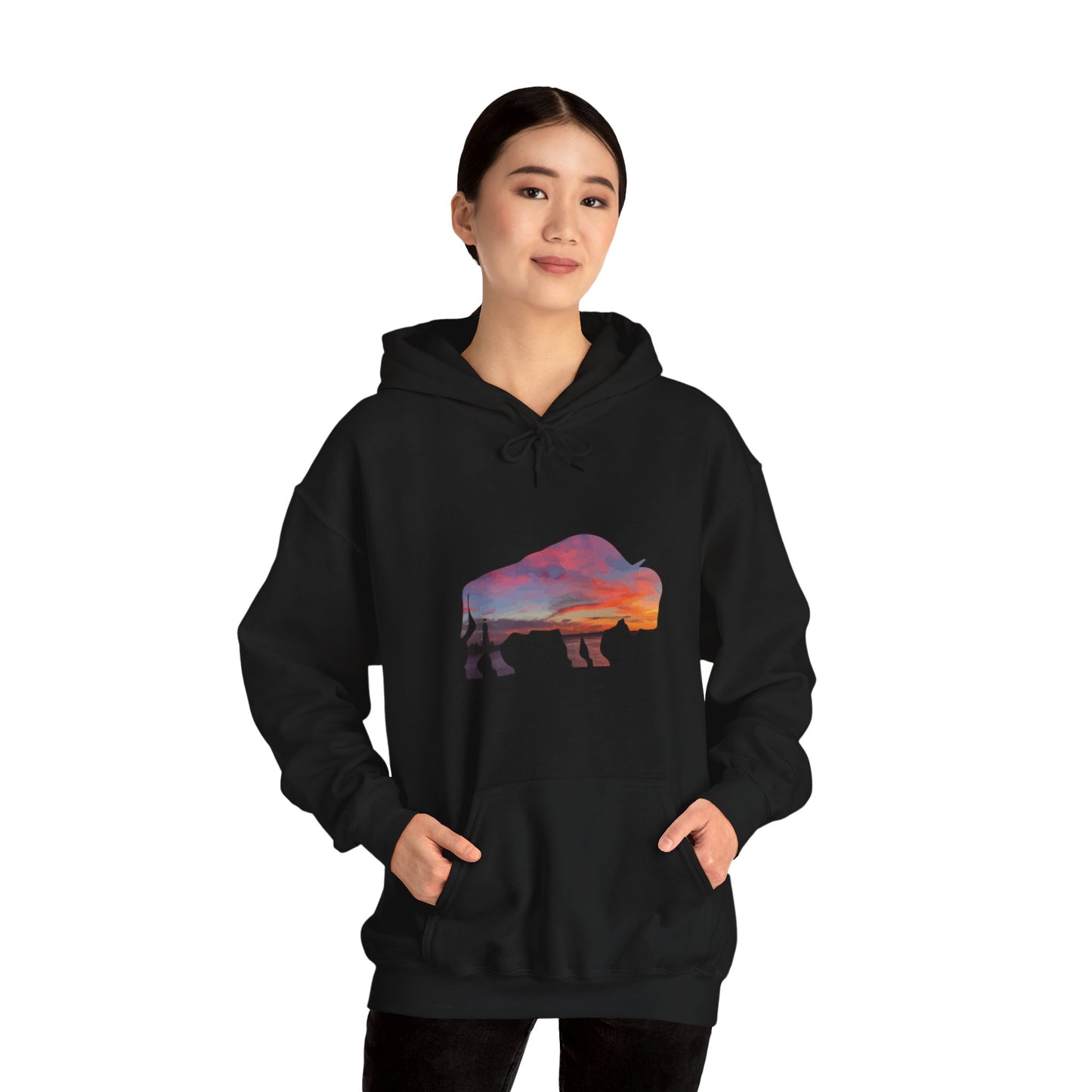 Buffalo Waterfront Sunset Hoodie