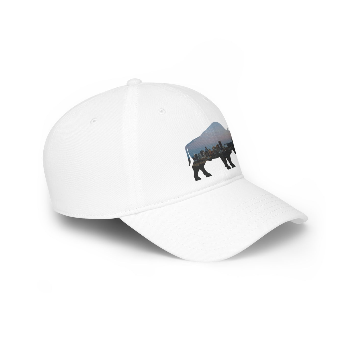 Buffalo Skyline Hat