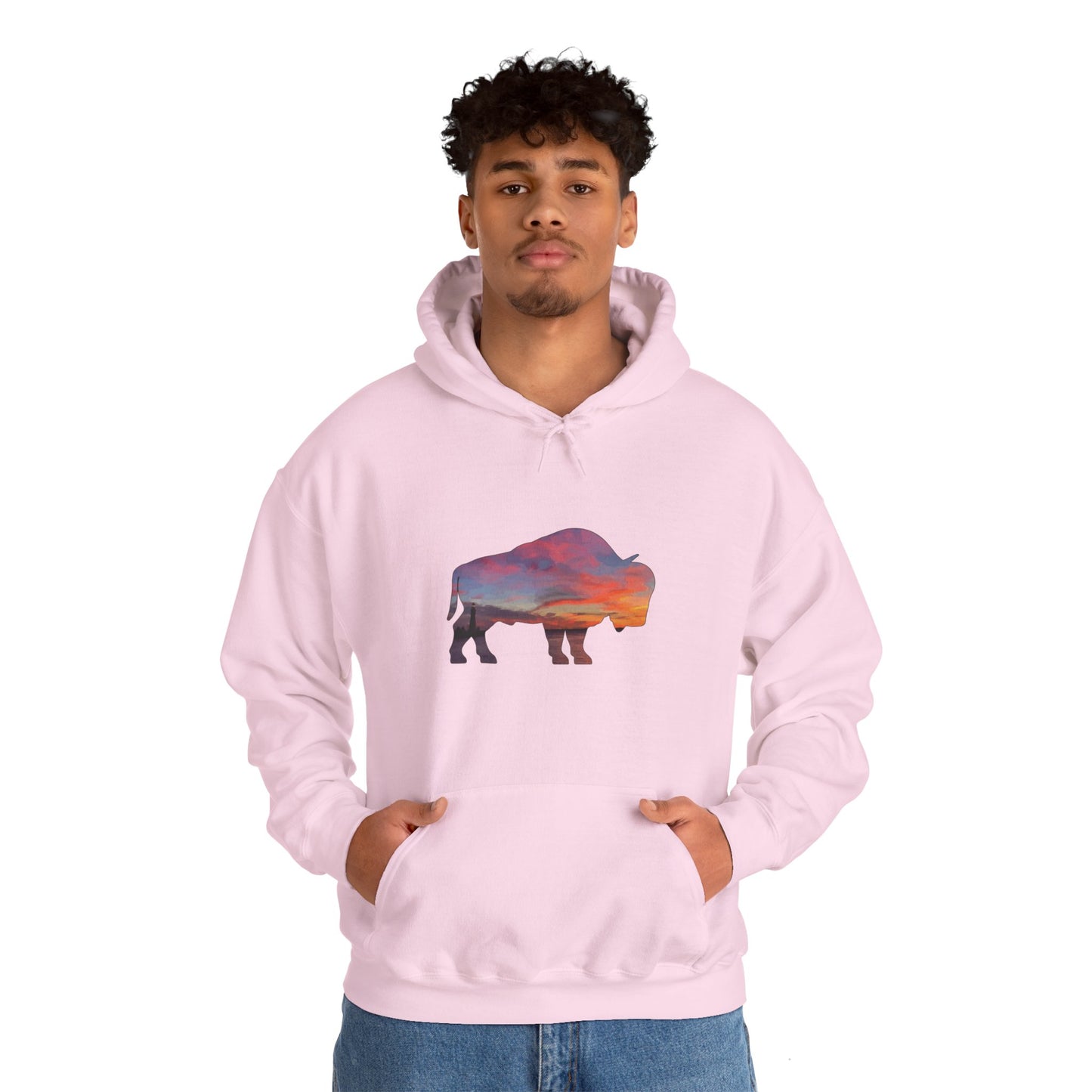 Buffalo Waterfront Sunset Hoodie