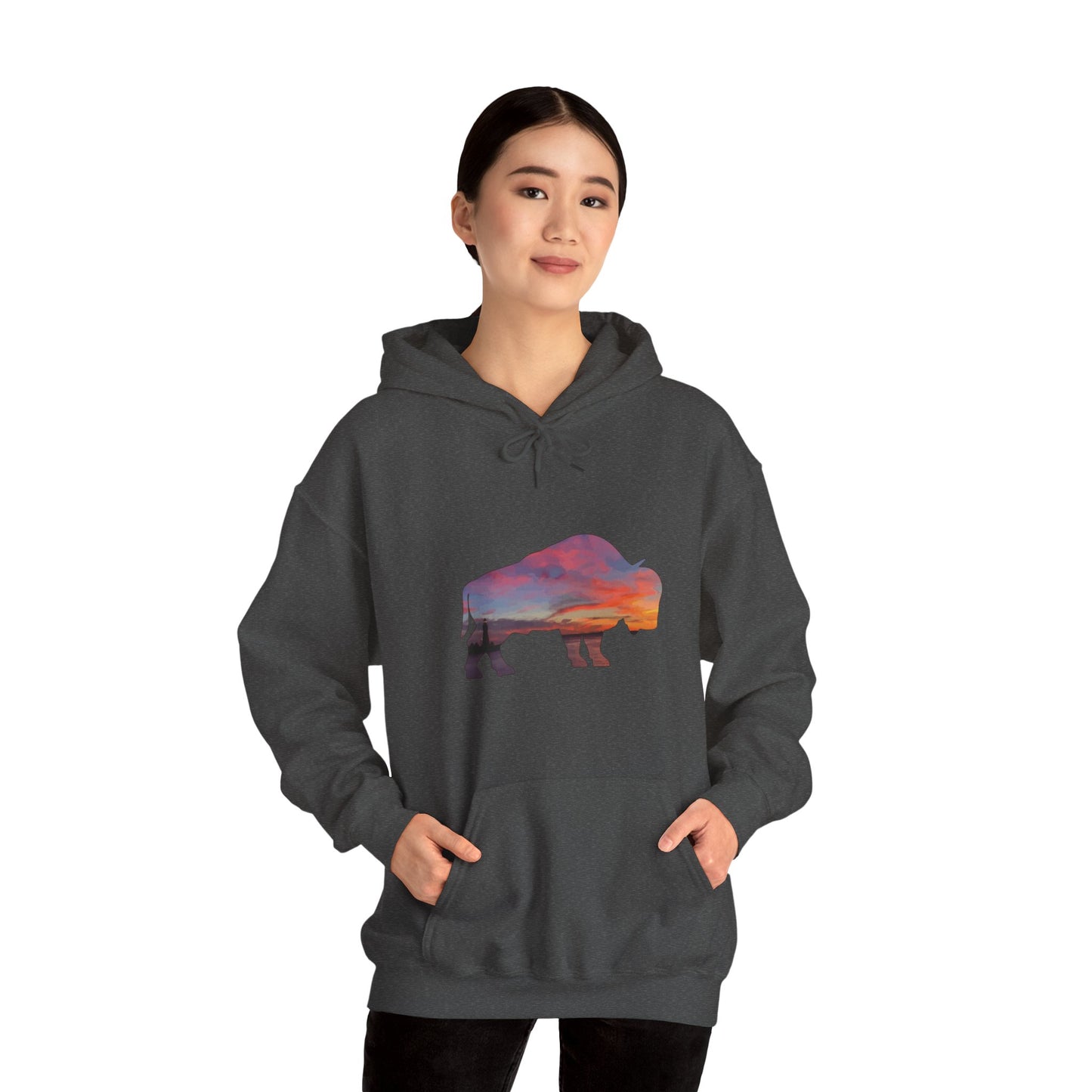 Buffalo Waterfront Sunset Hoodie