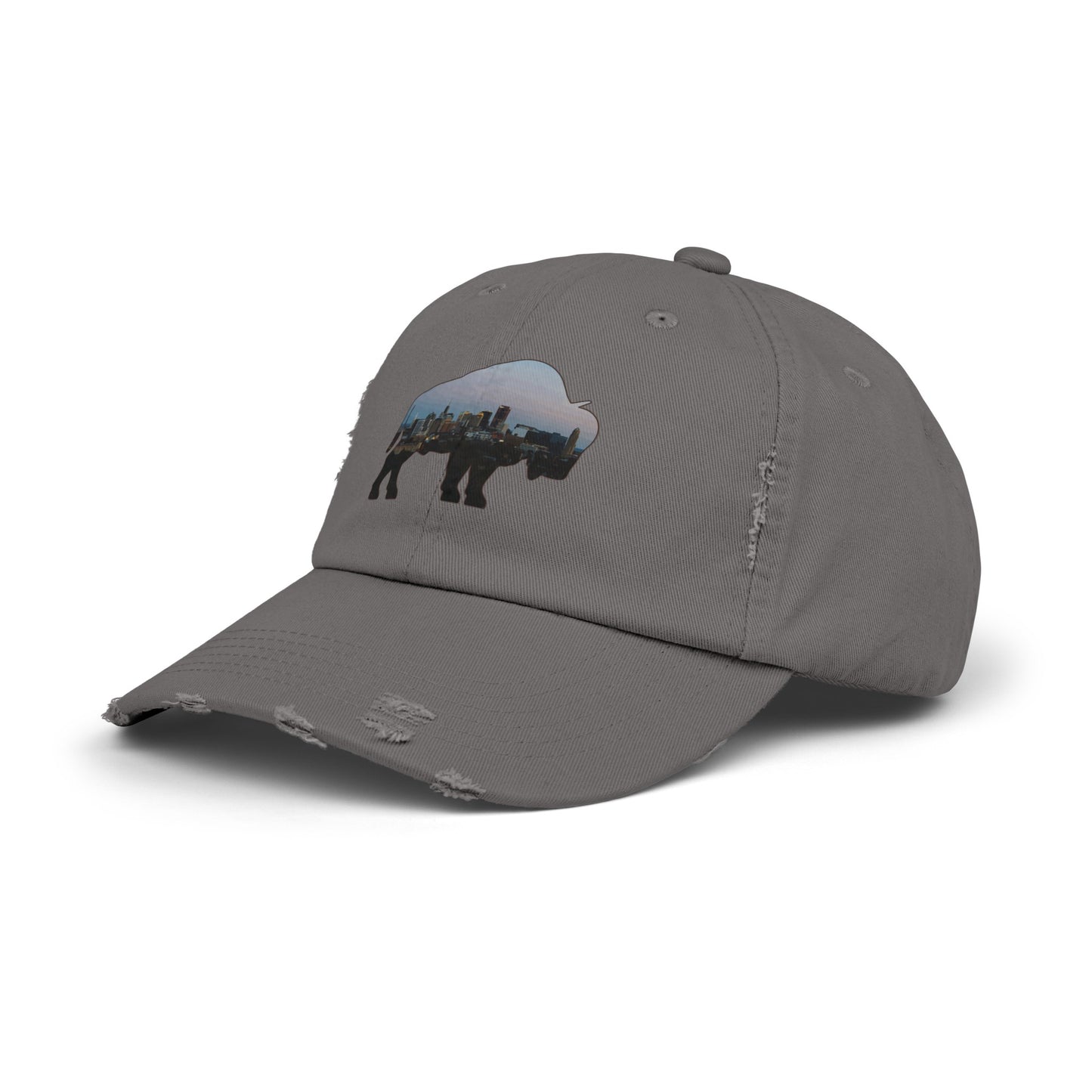 Buffalo Skyline Distressed Cap