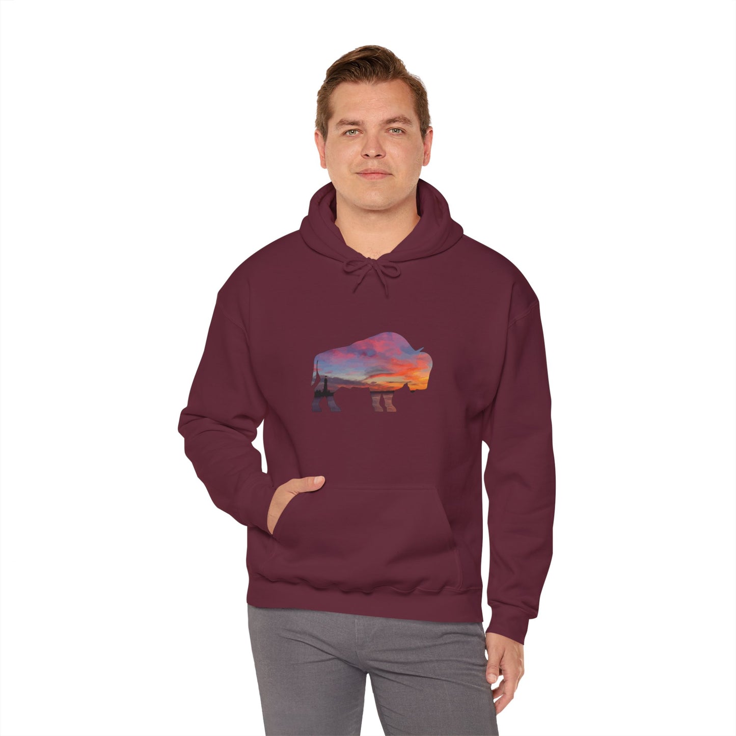 Buffalo Waterfront Sunset Hoodie