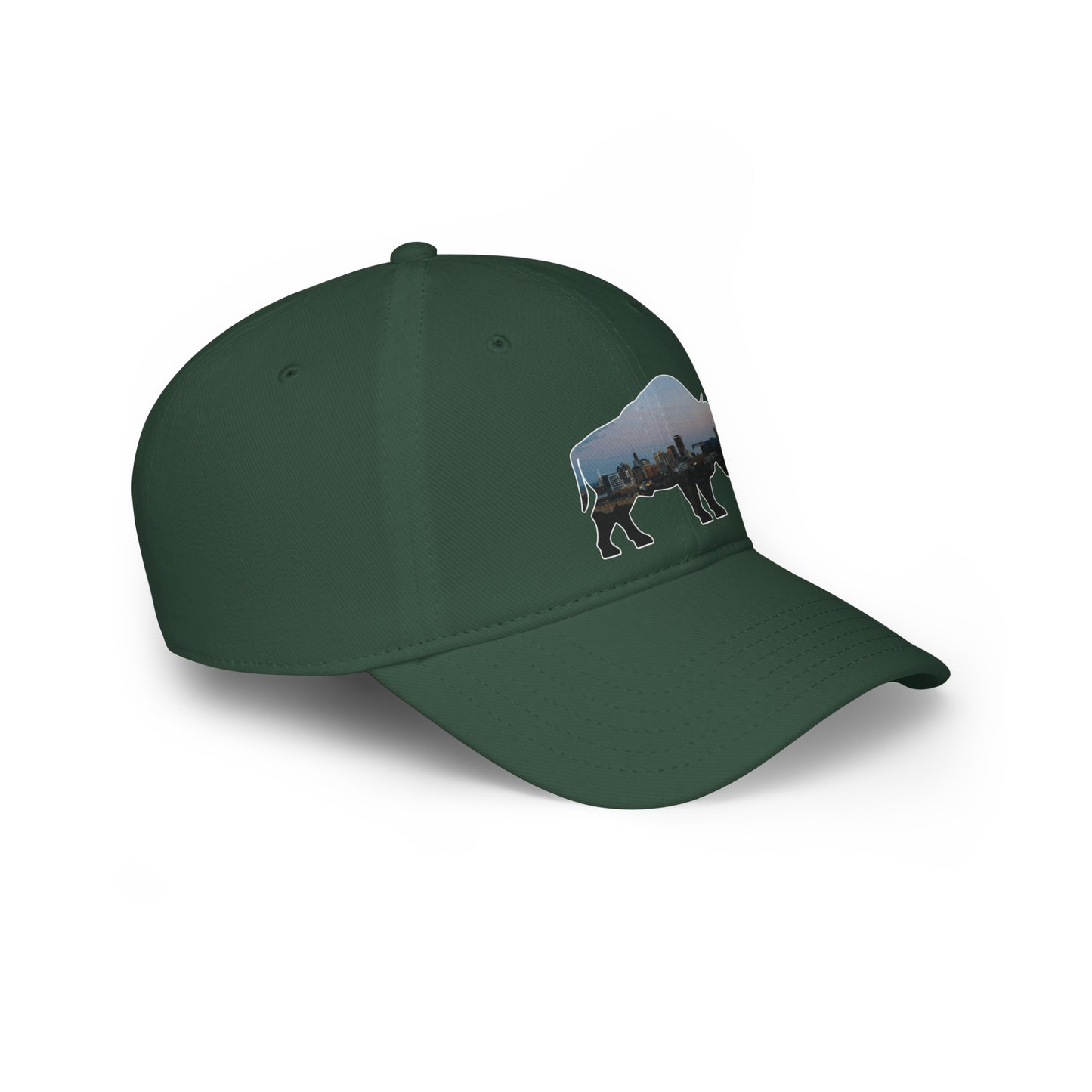 Buffalo Skyline Hat