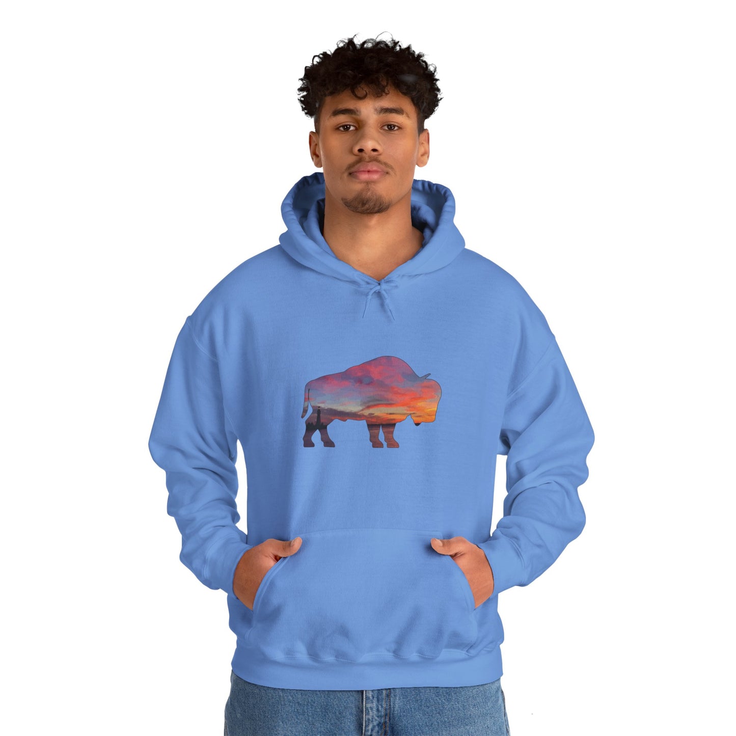 Buffalo Waterfront Sunset Hoodie