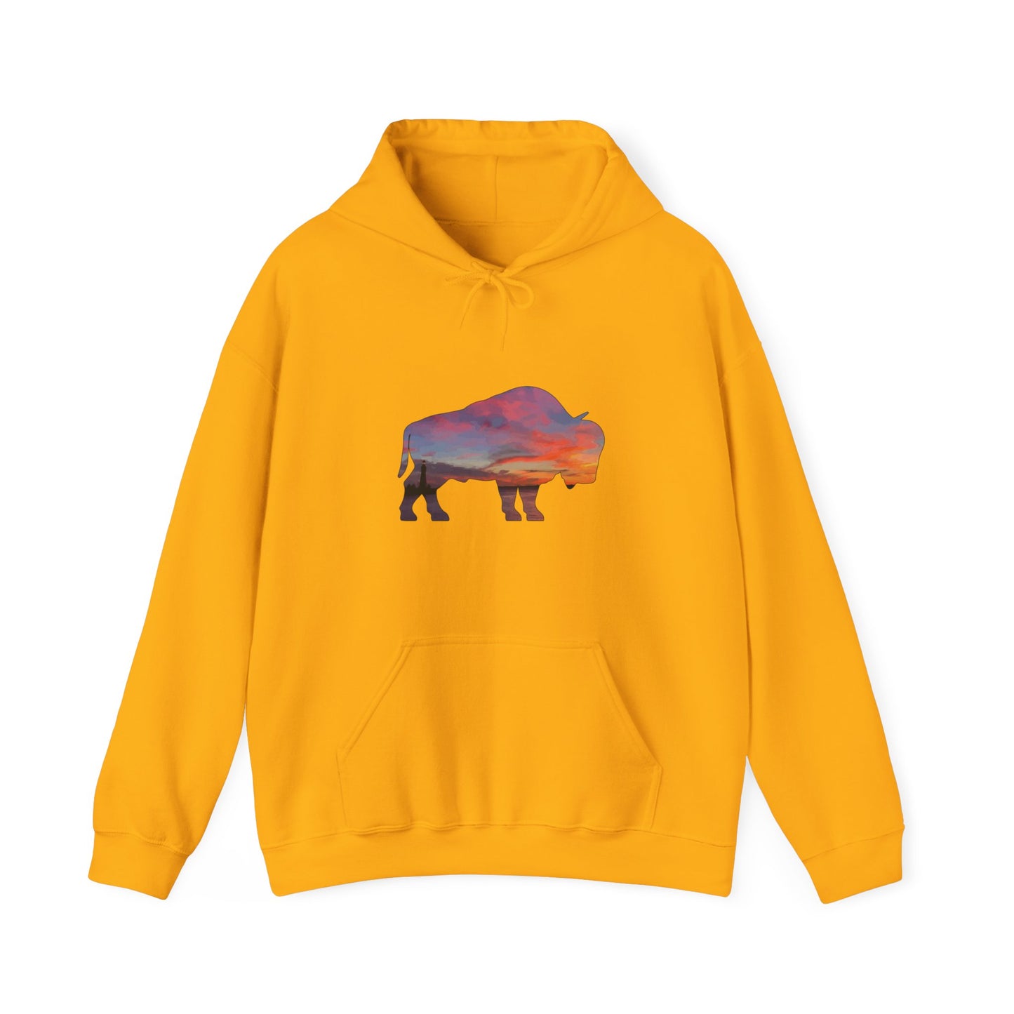 Buffalo Waterfront Sunset Hoodie