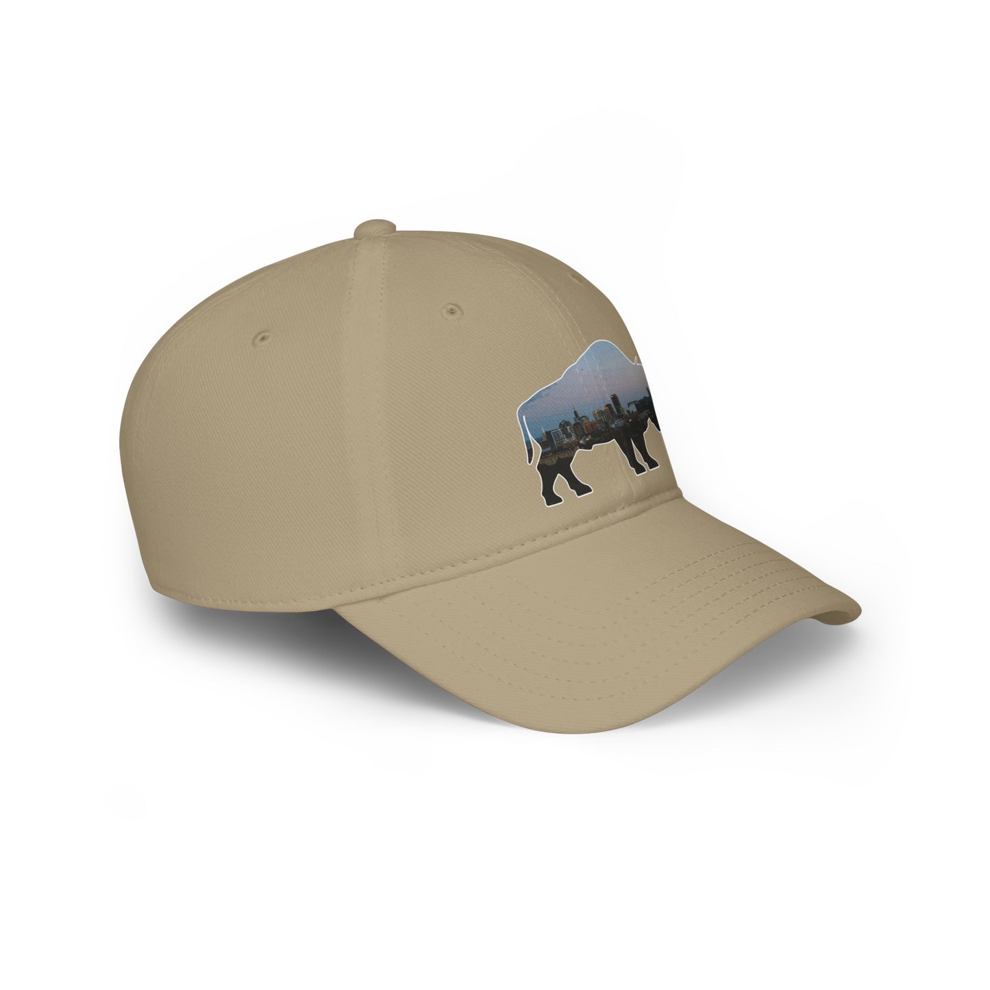 Buffalo Skyline Hat