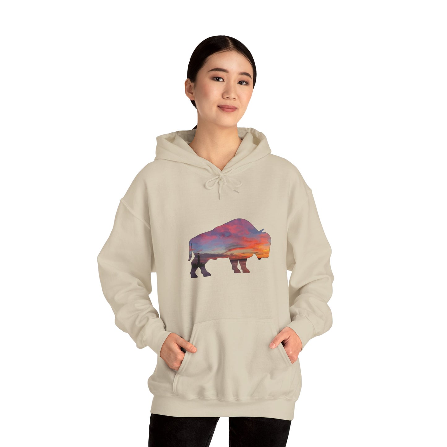 Buffalo Waterfront Sunset Hoodie