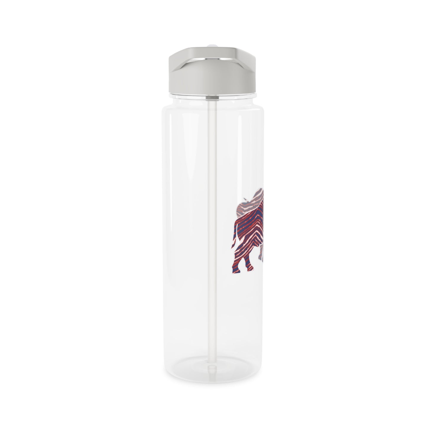 The Buffalo Game Day Water Bottle