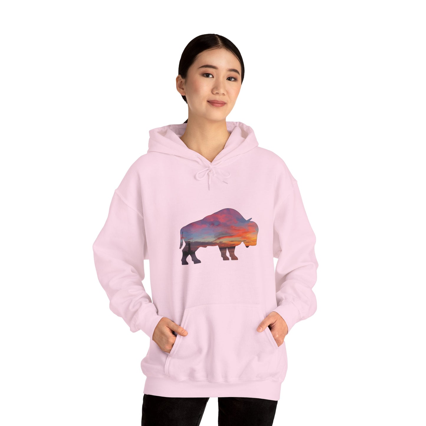 Buffalo Waterfront Sunset Hoodie