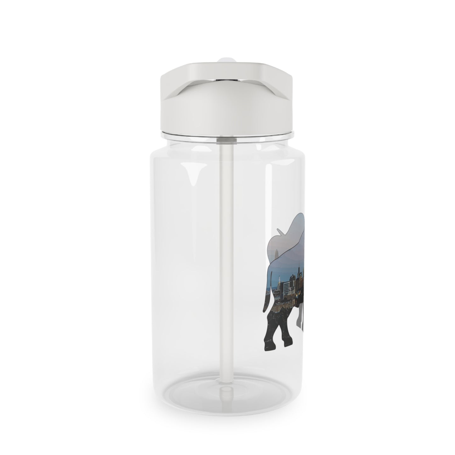 The Buffalo Skyline Water Bottle