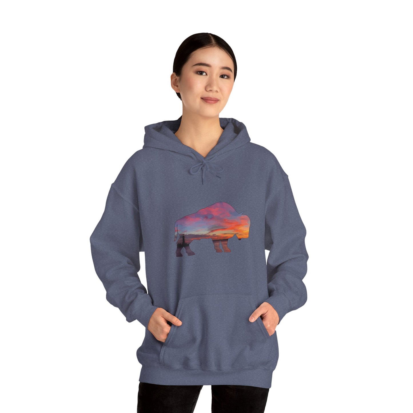 Buffalo Waterfront Sunset Hoodie