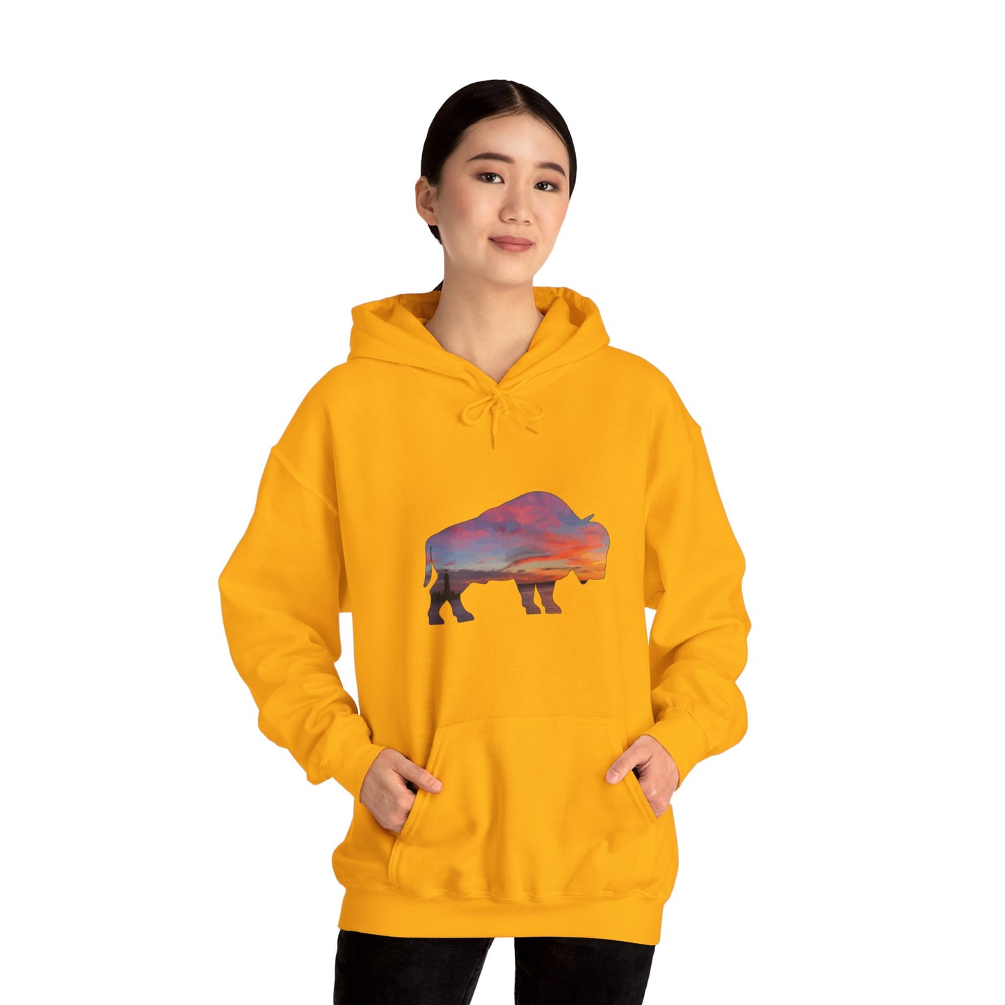 Buffalo Waterfront Sunset Hoodie