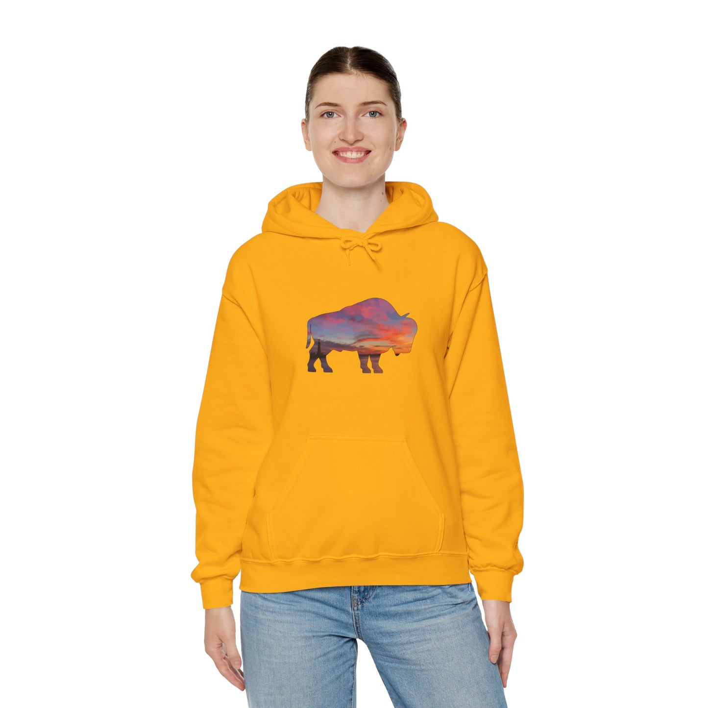 Buffalo Waterfront Sunset Hoodie