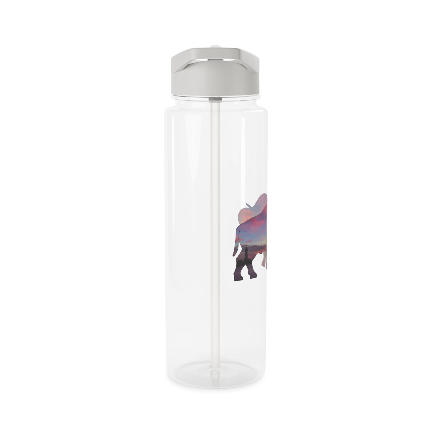 Buffalo Sunset Water Bottle