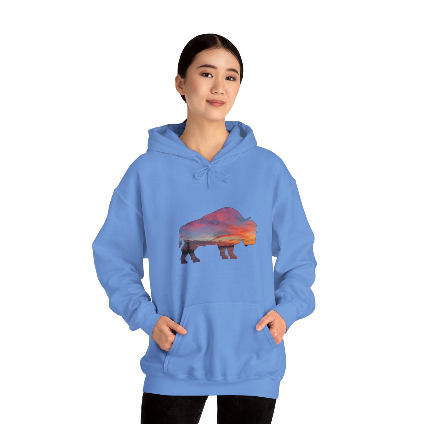 Buffalo Waterfront Sunset Hoodie