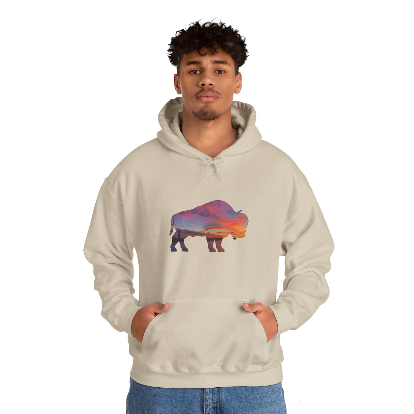 Buffalo Waterfront Sunset Hoodie