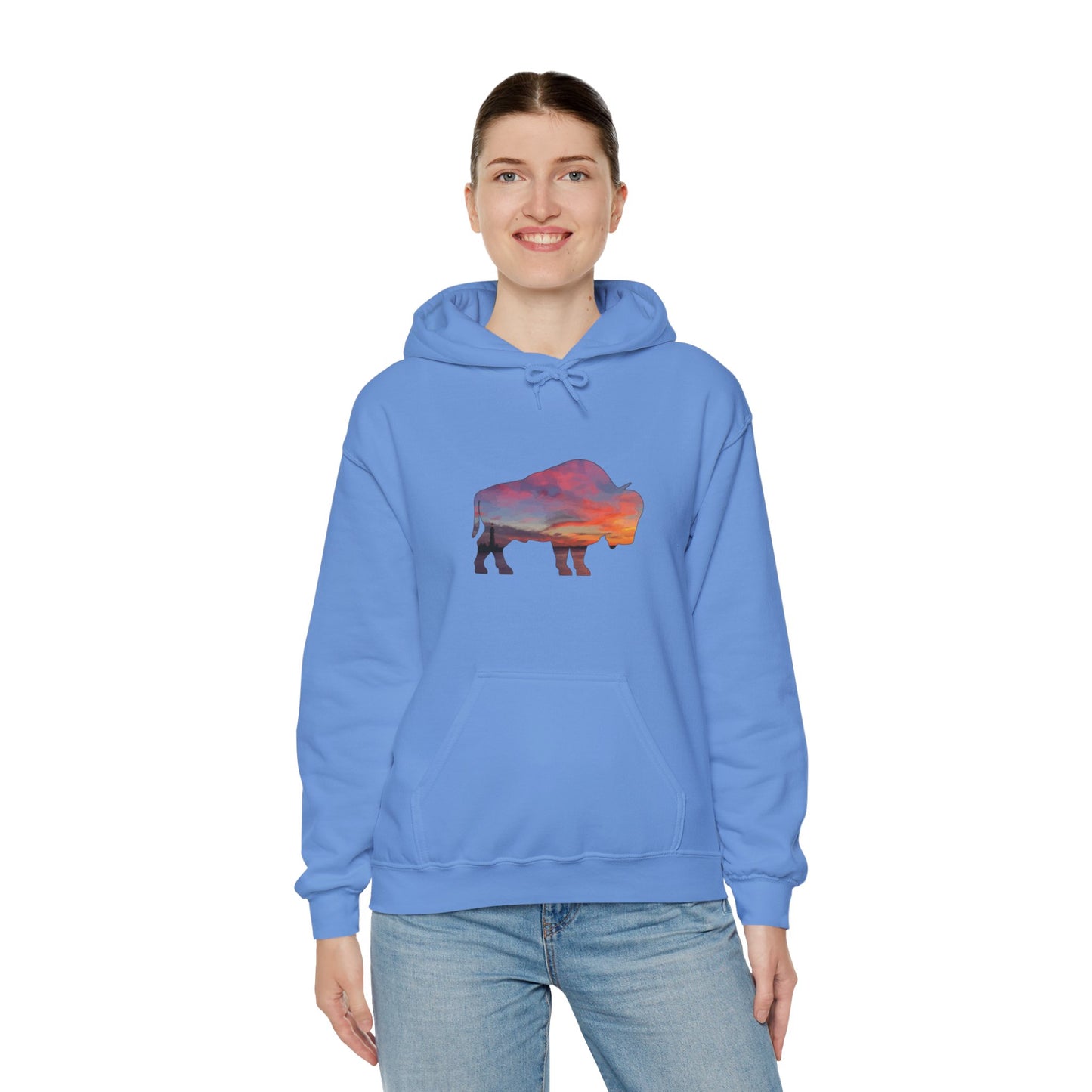 Buffalo Waterfront Sunset Hoodie