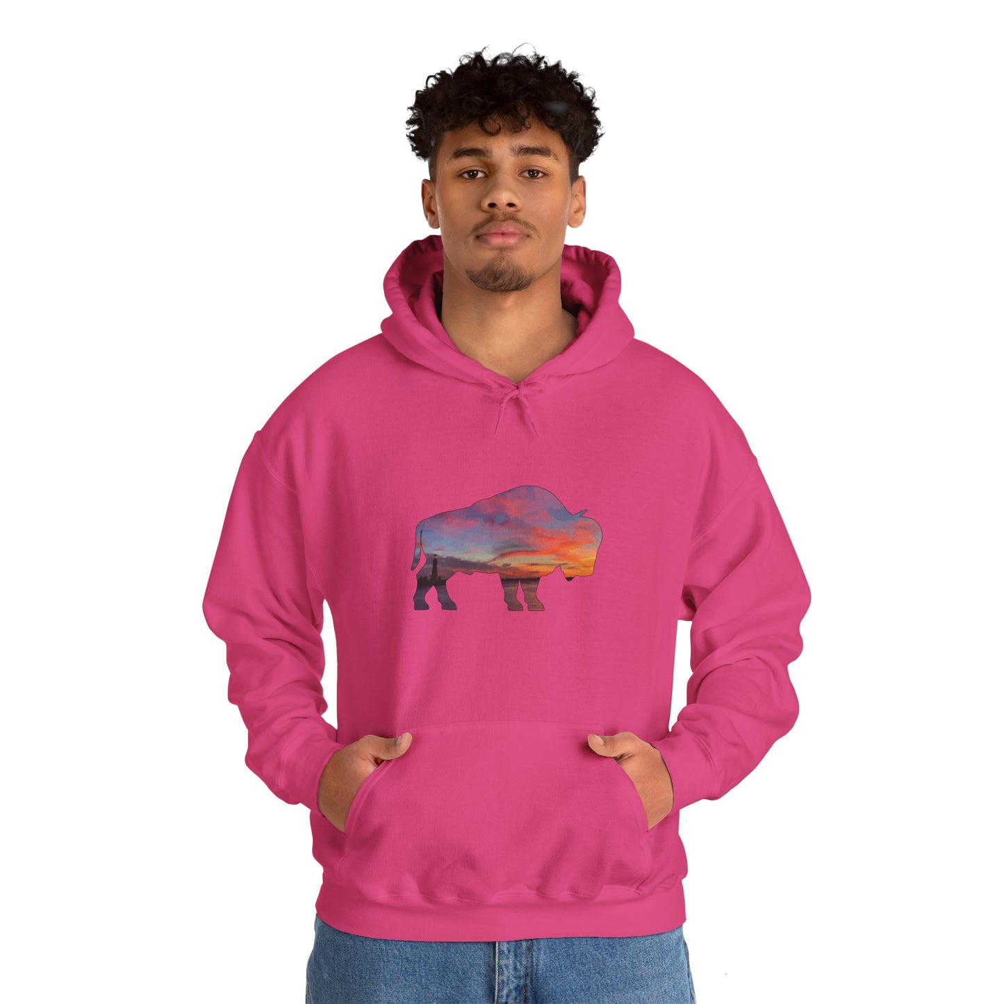 Buffalo Waterfront Sunset Hoodie