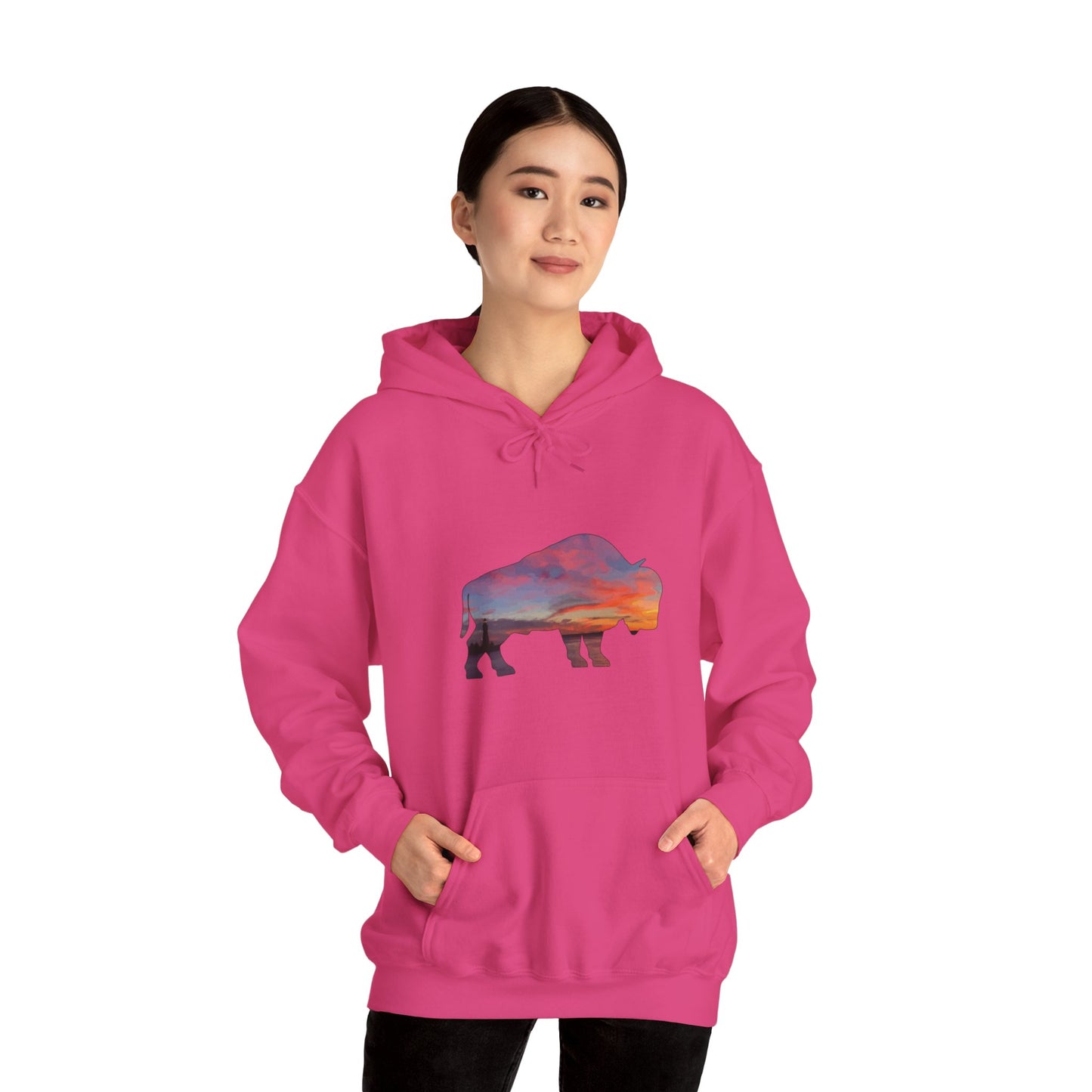 Buffalo Waterfront Sunset Hoodie