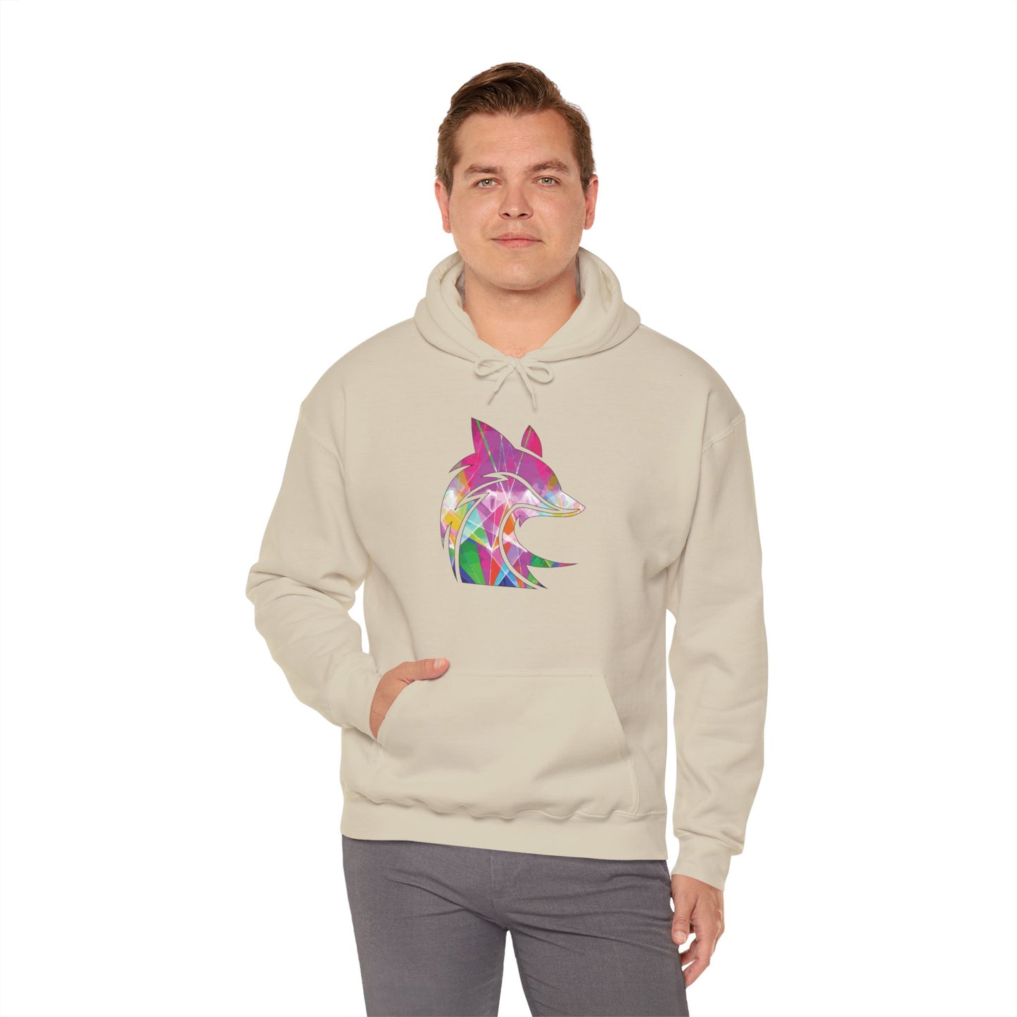 The Fox D3n Rainbow Lasers Hoodie