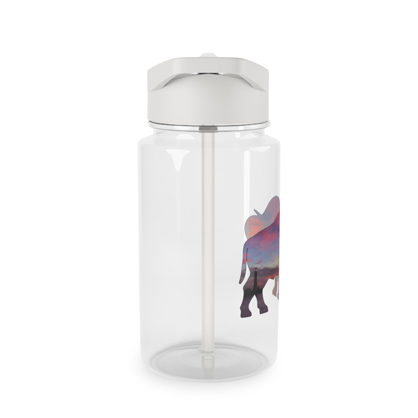 Buffalo Sunset Water Bottle