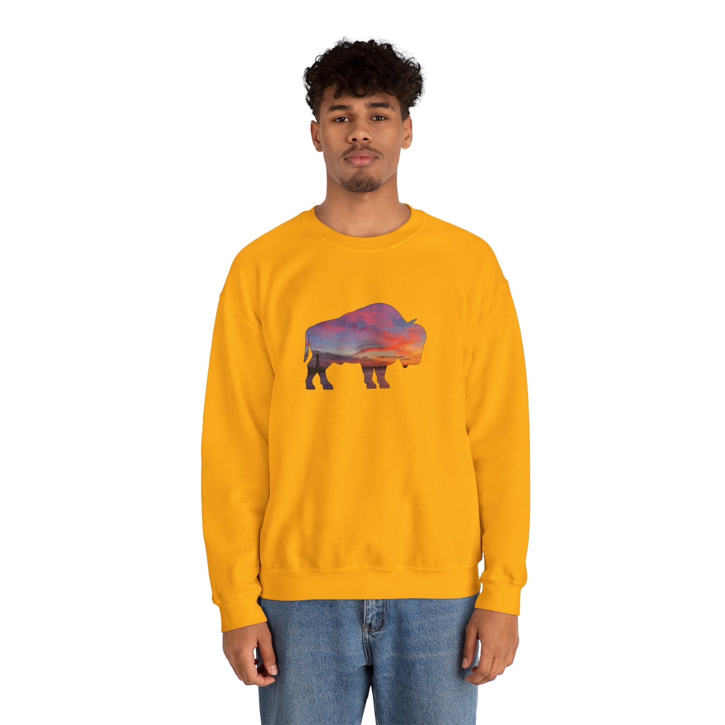 Buffalo Waterfront Sunset Sweatshirt